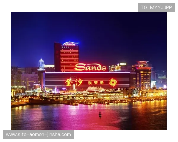 拉斯维加斯金沙集团广西总裁的职业背景与成功之路探索